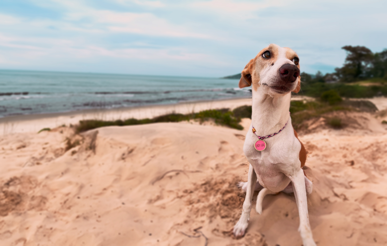 Para estar sempre por perto